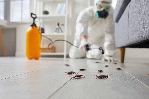 Trusted Cockroach Control service in Millsboro, DE - Nex Pest Control