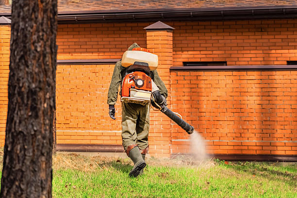 Trusted Emergency Pest Control service in Millsboro, DE - Nex Pest Control